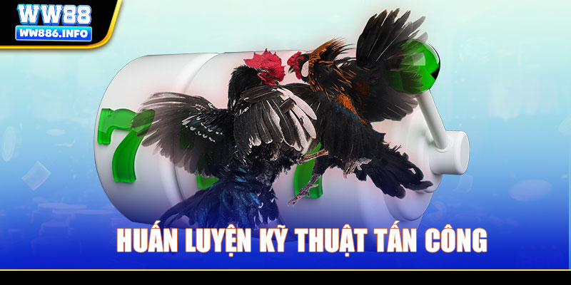 Huấn luyện kỹ thuật tấn công