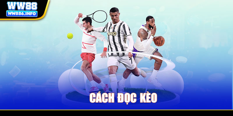 Cách đọc kèo bóng đá cực kỳ chi tiết, đơn giản cùng WW88