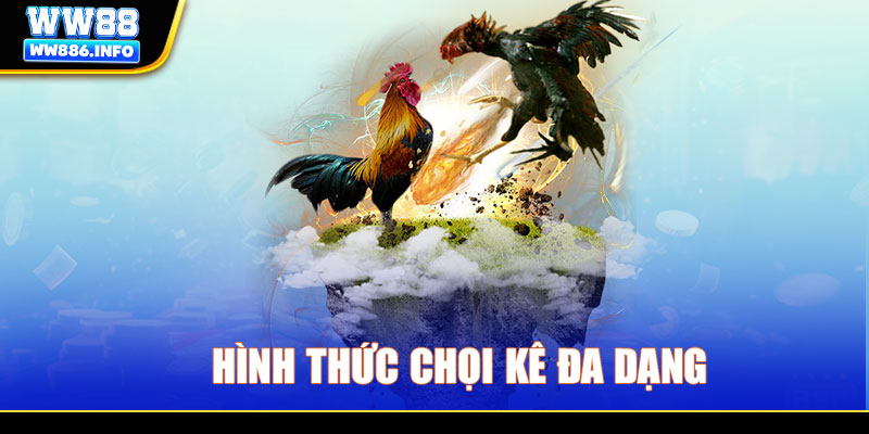 Hình thức chọi kê đa dạng